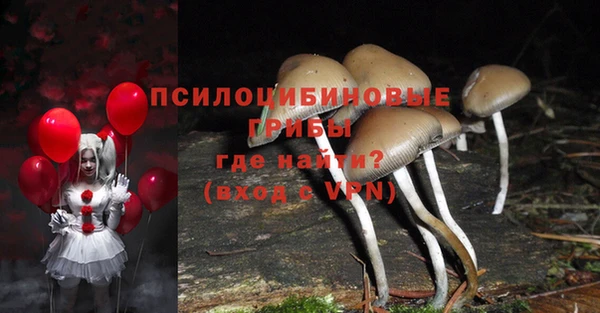 скорость Алзамай